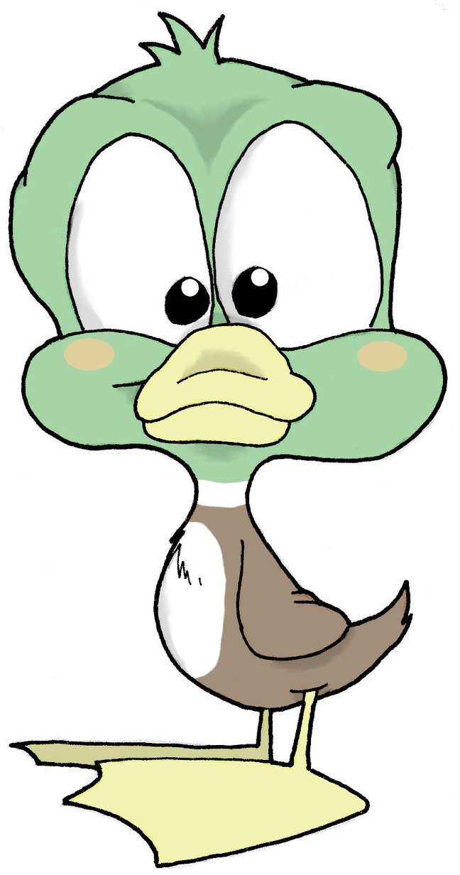 Green and brown duck